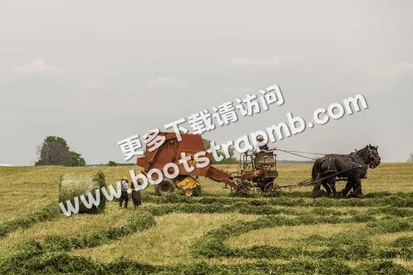 ⊞ Portfolio - 世界杯什么时候开始